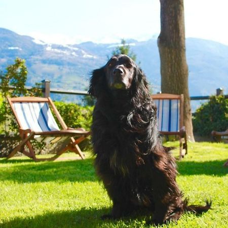 Bed & Breakfast Chez Berry Aosta Exterior photo